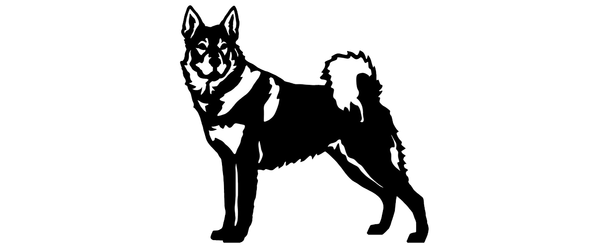 Championhund X